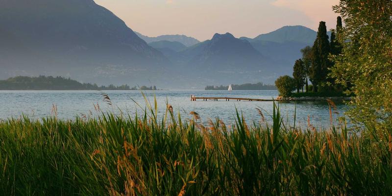 ZZ118817:一站式工具集合与资源导航平台,打造高效学习资料库