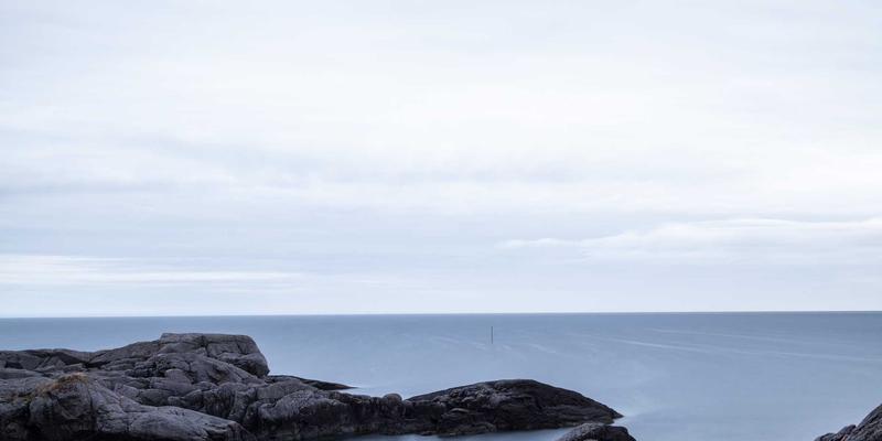 ZZ118819学习资料深度整合指南：高效信息管理与知识获取策略