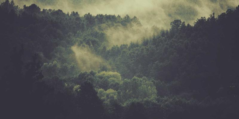 ZZ11881：信息整合、生活指南与学习资料的智慧宝库