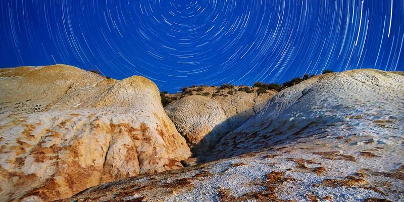 ZZ118825：一站式工具集合与资源导航，重塑高效信息整合新范式