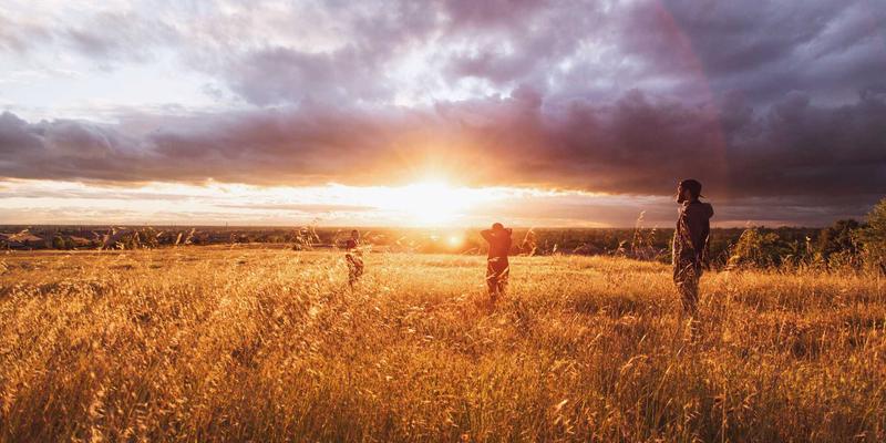 ZZ118826：打造高效工具集合与资源导航的终极指南