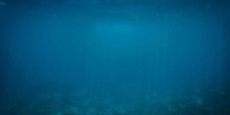 ZZ118833：数字时代的生活指南、工具集合与资源导航全解析