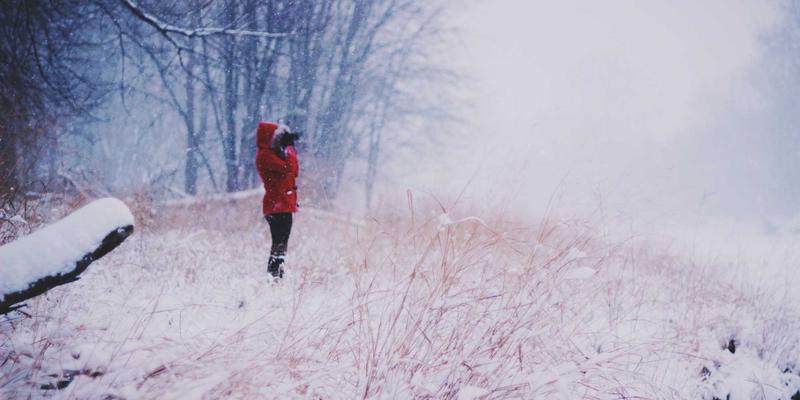 ZZ118842:数字时代的效率革命——工具集合、资源导航与信息整合的终极实践