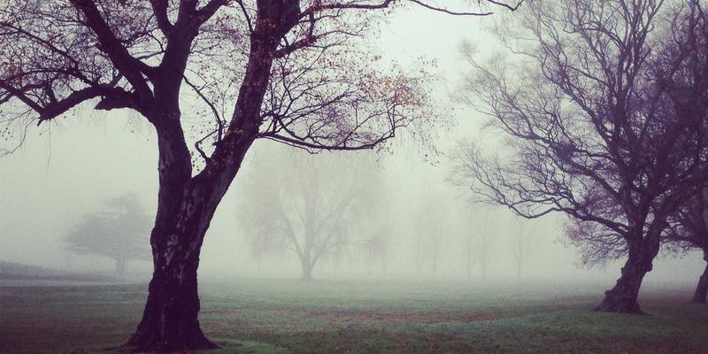 ZZ118855：一站式资源导航与生活指南，高效信息整合新选择