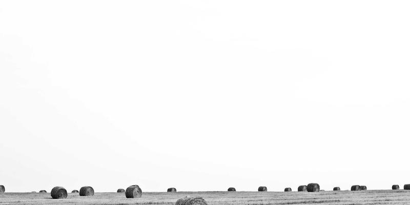 ZZ118875学习资料全解析：从ZZ1188编码到生活指南的实践应用