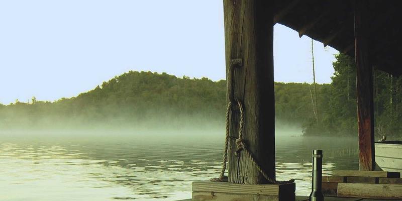 ZZ11887:数字时代必备的生活指南、学习资料与工具集合