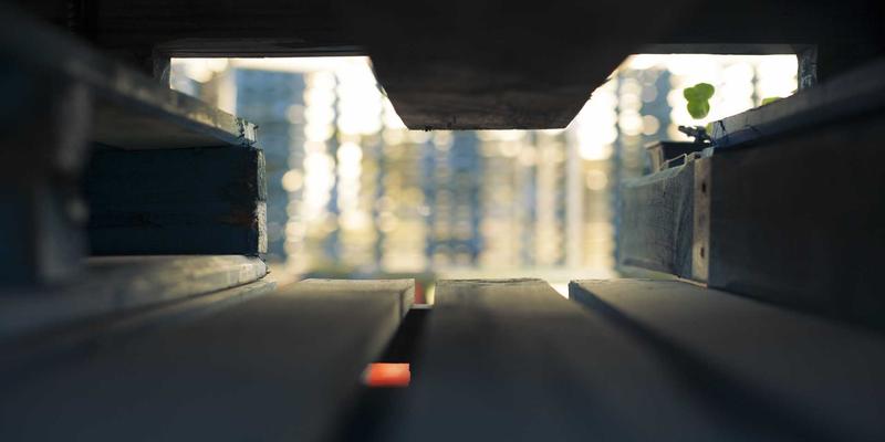 ZZ118884：数字时代的生活指南、学习资料与资源导航全解析