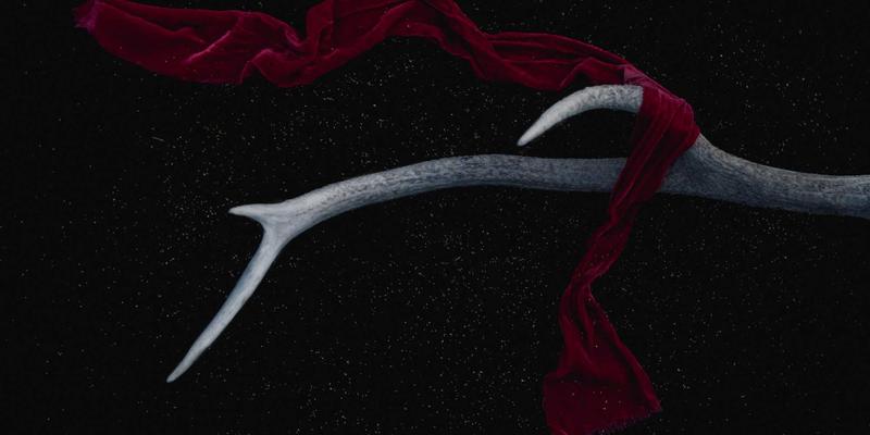 ZZ118890：一站式学习资料、资源导航与工具集合指南