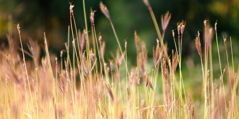 ZZ1188全方位解析：您不可或缺的生活指南与资源导航平台