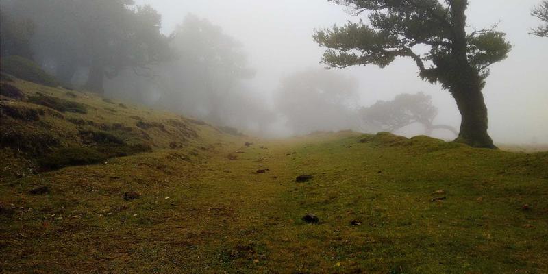 ZZ1188在PHM中的核心应用：振动与温度数据融合分析的工具集合与信息整合