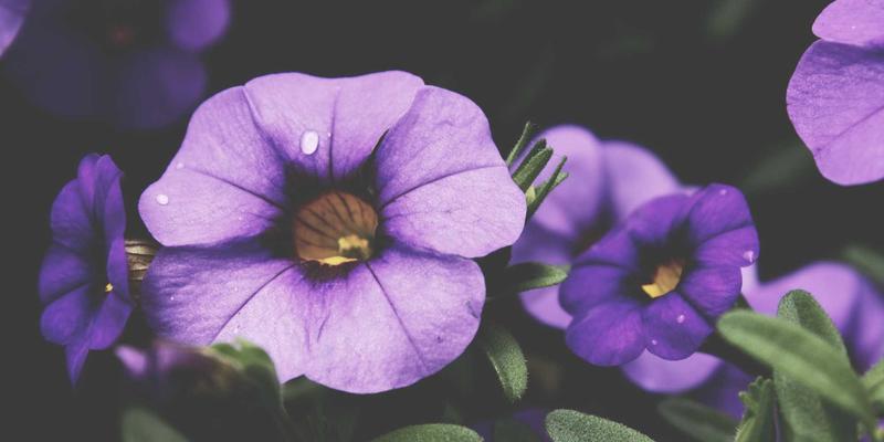 ZZ1188型号工业传感器技术参数详解与应用场景：一份专业的信息整合与生活指南