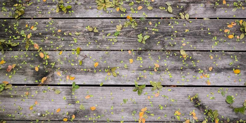 ZZ1188完全攻略:一站式获取学习资料、资源导航与生活指南