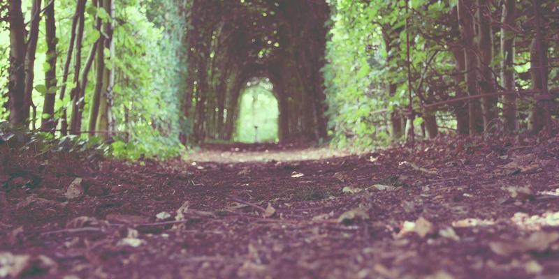 ZZ1188工具集合：博物馆与档案馆微环境监控的智能资源导航