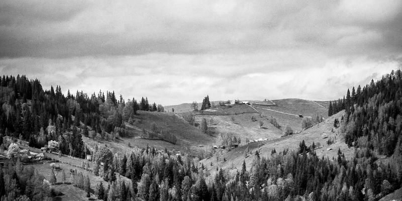 ZZ1188深度解析：如何通过工具集合与信息整合，打造高效学习资料库？