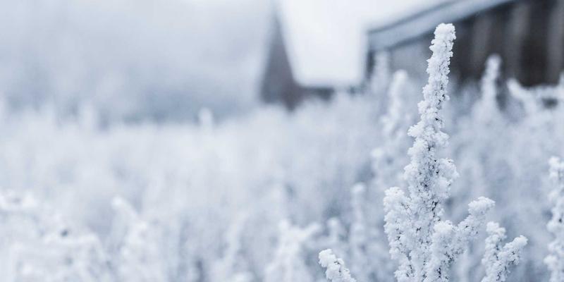 ZZ1188生活指南与资源导航：一站式提升生活品质的实用手册