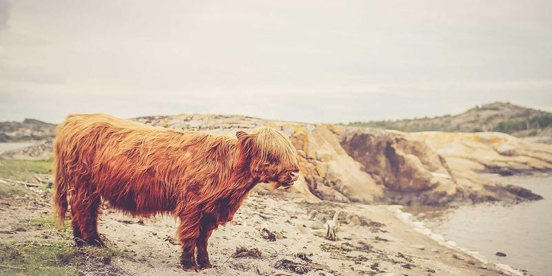 从入门到精通：基于ZZ1188网关的工业物联网配置与边缘计算实战资源导航