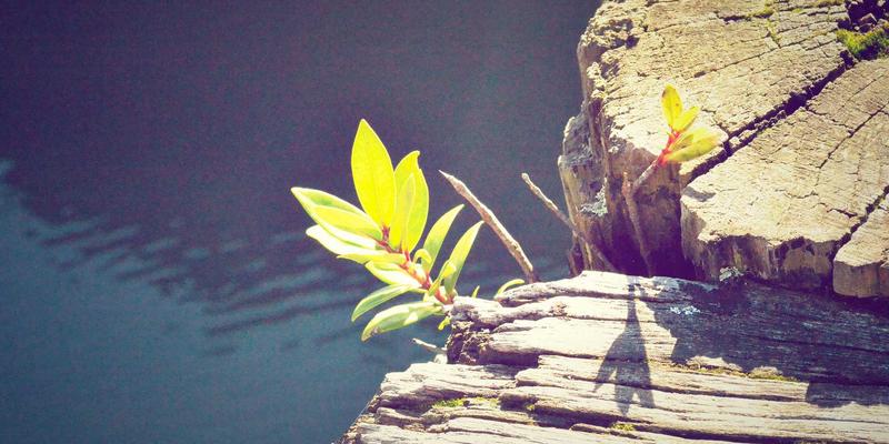 从学习资料到生活指南：ZZ1188传感器如何成为药品仓储GSP合规管理的核心资源导航