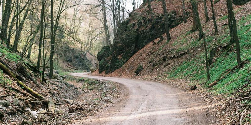 信息整合与资源导航：ZZ1188传感器如何重塑智慧农业的土壤墒情与温室环境监测