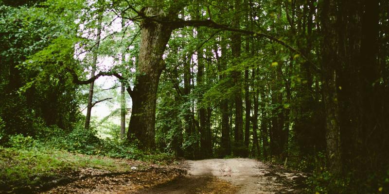 信息整合新范式：ZZ1188传感器如何重塑电力机房动力环境监控系统