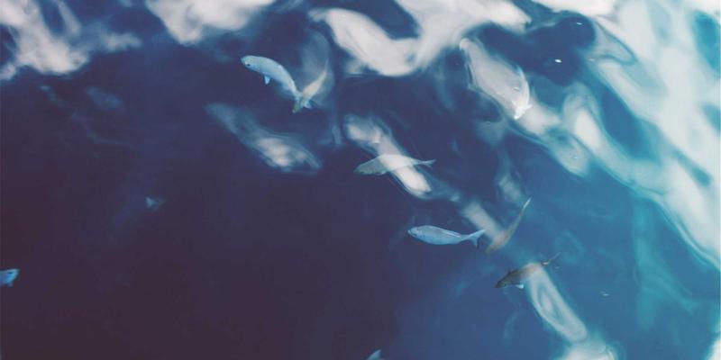 信息整合新范式：ZZ1188学习资料高效管理与应用指南