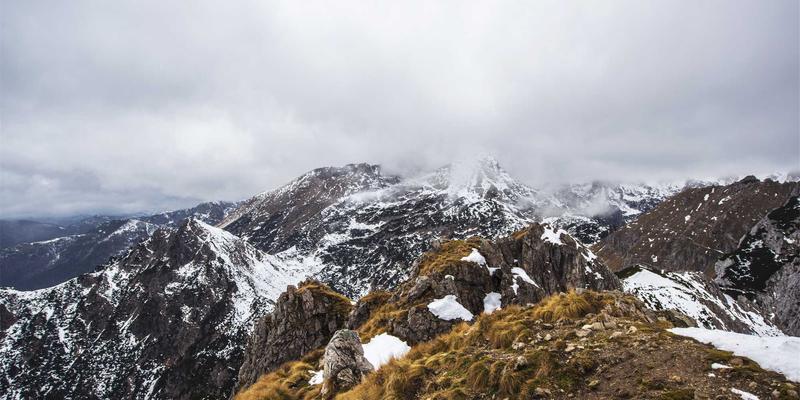 基于ZZ1188的智慧档案馆/图书馆一体化方案：守护学习资料与资源导航的核心