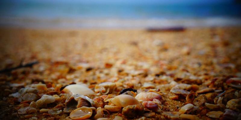 生活指南与工具集合：掌握ZZ1188传感器数据安全的学习资料全解析