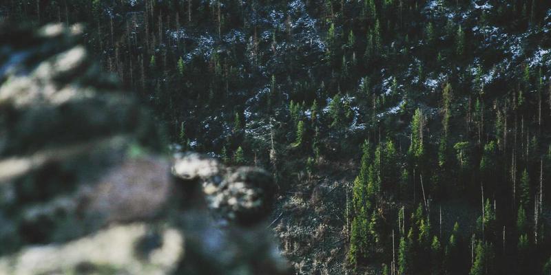 资源导航与生活指南：ZZ1188高精度测量如何重塑环境监测信息整合